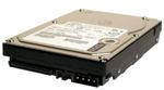 HDD IBM eServer HUS103036FL3600 36GB, 10K rpm, Wide Ultra320 SCSI, 68-pin, p/n: 71P7439, 80P3151, 17R6171  (жесткий диск)