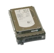      Hot Swap HDD Dell/Seagate Cheetah T10 ST3300555SS 300GB, 15K rpm, SAS (Serial Attached SCSI), 16MB Cache Buffer, 3.5"/w tray, p/n: 0FW956. -$469.