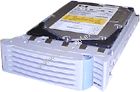Hot Swap HDD Hewlett-Packard (HP) D6106A , 9.1GB, 7200 rpm, Ultra U2 SCSI, 1"/w tray for LH3, OEM ( )