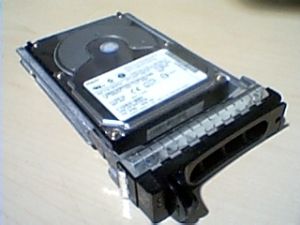Hot Swap HDD Maxtor/Dell 04M060 36GB, 10K rpm, SCSI Ultra320, 80-pin/w tray, OEM (жесткий диск)