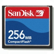      SanDisk SDCFB 256MB CompactFlash (CF) Disk, OEM. -$29.95.