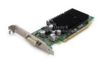 VGA card nVIDIA Quadro 280 NVS, 64MB, 2 Port (Dual Head), PCI-Express (PCI-E), OEM (видеоадаптер)